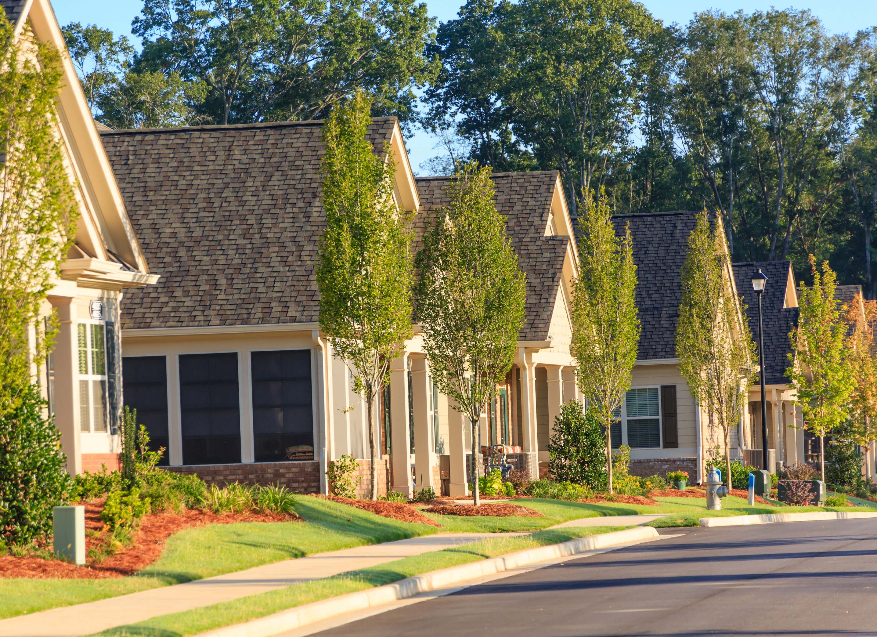 housing development_reduced.jpg